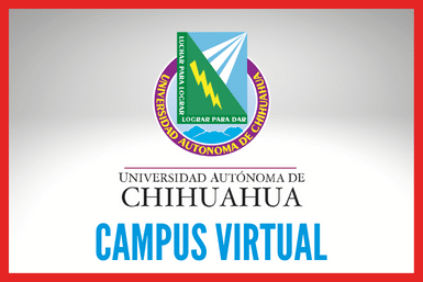 Campus Virtual 2