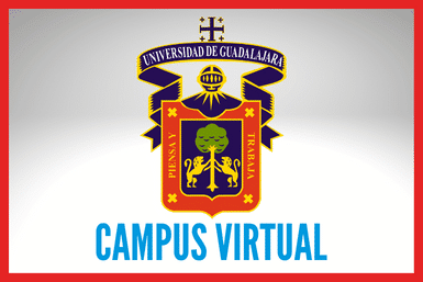 Campus Virtual UDG